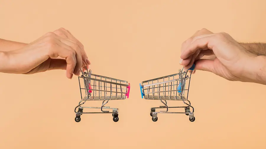 eCommerce B2B vs. B2C: Cómo Elegir la Plataforma Correcta